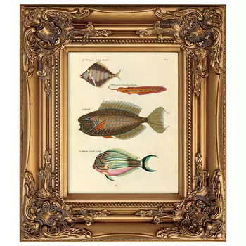 Постер в раме из натурального дерева Fishes