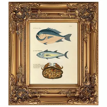 Постер в раме из натурального дерева Fishes 5