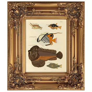 Постер в раме из натурального дерева Fishes 6
