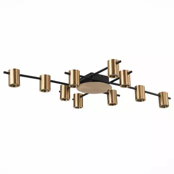 Потолочный светильник Aigle Ceiling Light 10