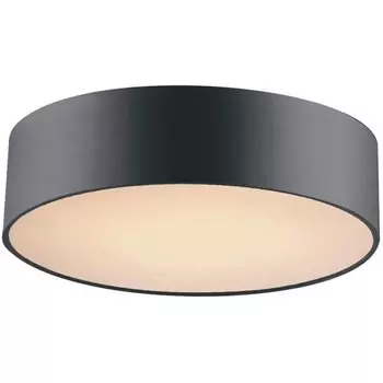 Потолочный светильник Cylindra Black 40