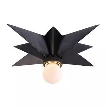 Потолочный светильник Star Ceiling Mount black