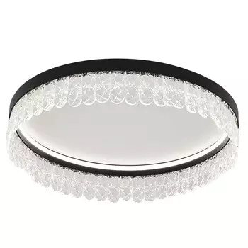 Потолочный светодиодный светильник Pettico Black