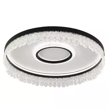 Потолочный светодиодный светильник Pettico Black Duo