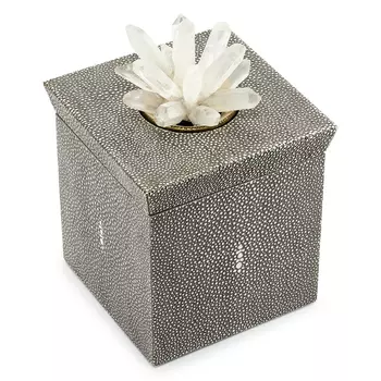Шкатулка BOX KRIZIA STING SQ