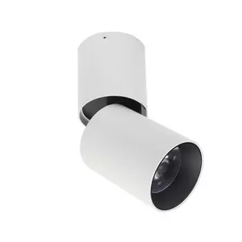 Спот Conecticus 1