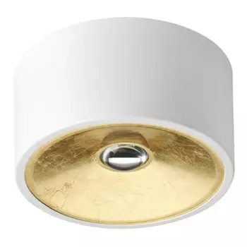 Спот Gold Diffuse Белый 20