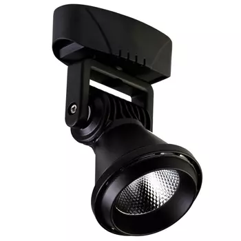 Спот Pansy spot black