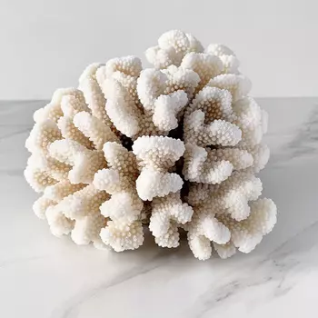 Статуэтка Brownstem Coral