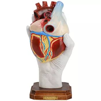 Статуэтка Heart "In my hands"
