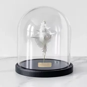 Статуэтка Murex Alabaster Glass Cloche