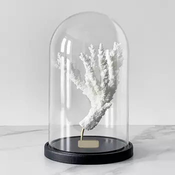 Статуэтка Natural Coral Branch Glass Cloche