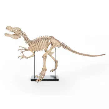 Статуэтка Skeleton