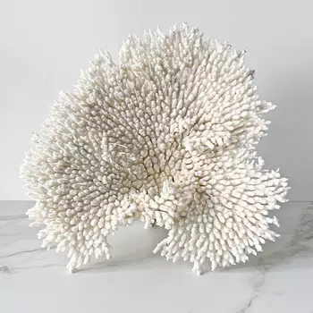 Статуэтка Table Coral