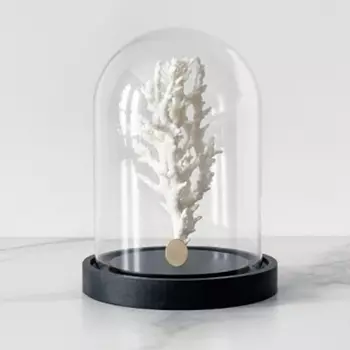 Статуэтка White Coral Glass Cloche