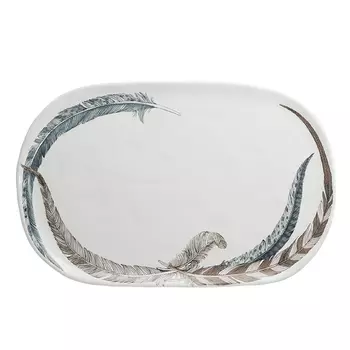 Тарелка Pen big