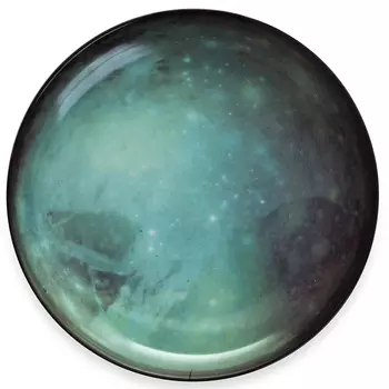 Тарелка Seletti Pluto