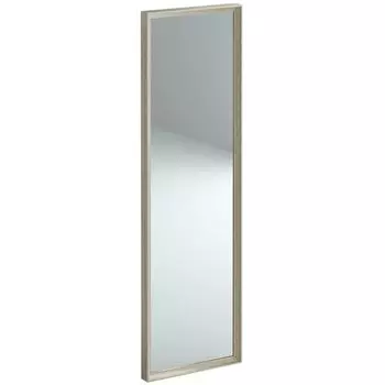 Зеркало напольное Fri Cry