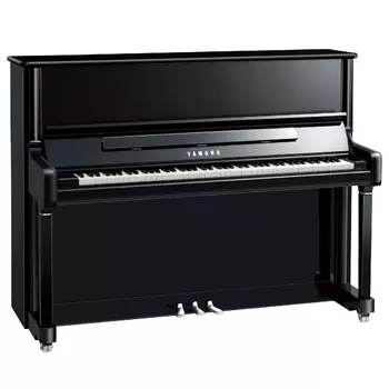 Yamaha YZ119 PE - чёрный полированный