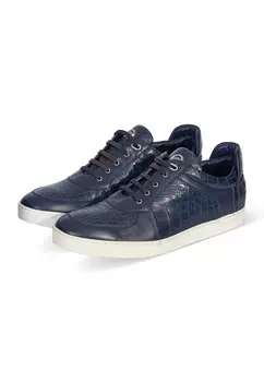 Кеды Stefano Ricci