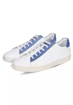 Кеды Stefano Ricci