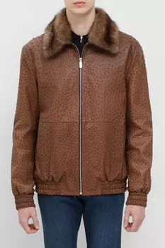 Куртка Bardini