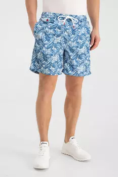 Плавки Kiton