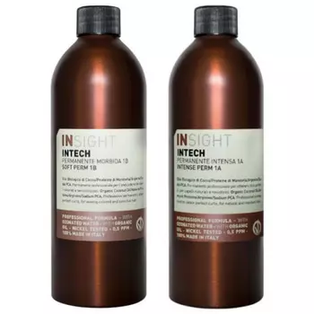 Insight Intech Perm