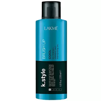 Lakme Brush Up Dry Shampoo