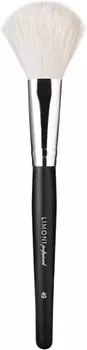 Limoni Professional