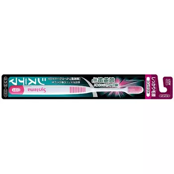 Lion Japan Dentor Systema