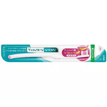 Lion Japan Dentor Systema