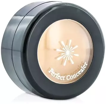 Missha The Style Perfect Concealer