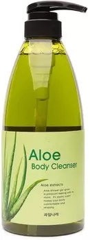 Welcos Kwailnara Aloe Body Cleanser