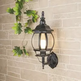 1001U черный / 9913-С (GL 1001U) Уличный настенный светильник Elektrostandard (a033704)