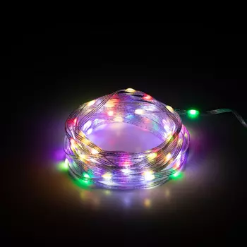 10м. Гирлянда RGB Эра ERASG -01 умная нить управление через мобильное приложение (Б0060432)