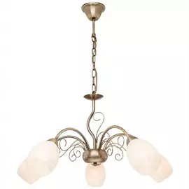 139.53.5 Подвесная люстра Silver Light Aimi