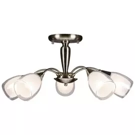 151-507-05 Потолочная люстра Velante