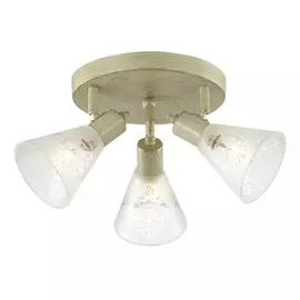 1794-3U Спот Favourite Gumbata