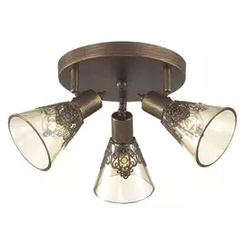 1795-3U Спот Favourite Gumbata