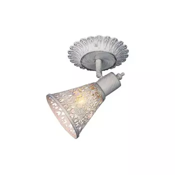 1796-1W Спот Favourite Arabian Drim