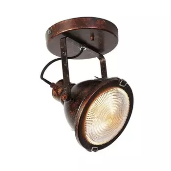 1898-1W Спот Favourite Industria