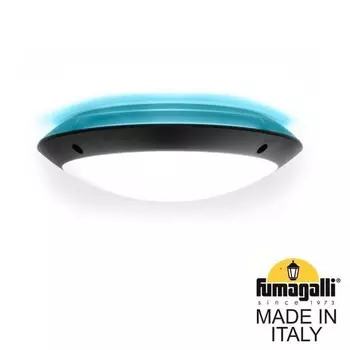 1R3.000.000.AYE27BU1 Уличный настенный светильник Fumagalli Lucia Backlit