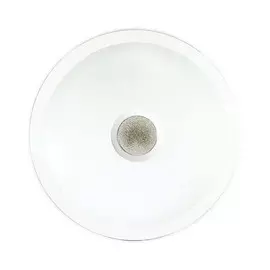 2054/DL Настенно-потолочный светодиодный светильник Sonex Galeo