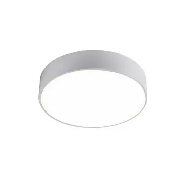 2065-24C Светодиодный настенно-потолочный светильник Favourite Flashled