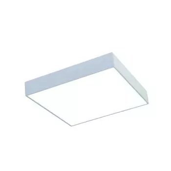 2066-30C Светодиодный настенно-потолочный светильник Favourite Flashled