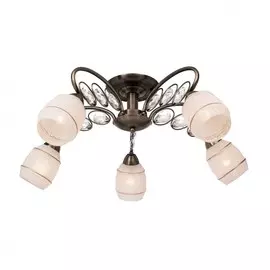 206.53.5 Потолочная люстра Silver Light Spark