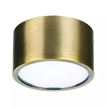 213911 Накладной светодиодный точечный светильник Lightstar Zolla