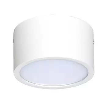 213916 Накладной светодиодный точечный светильник Lightstar Zolla