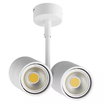 214446 Спот Lightstar Rullo